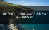 别再传谣了——牵出p站助手-真相不复杂（重要提醒）