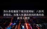 汤头条轻量版下载深度揭秘：八卦风波背后，当事人在酒店房间的角色极其令人意外