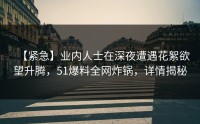 【紧急】业内人士在深夜遭遇花絮欲望升腾，51爆料全网炸锅，详情揭秘