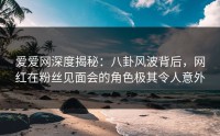 爱爱网深度揭秘：八卦风波背后，网红在粉丝见面会的角色极其令人意外
